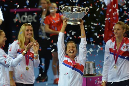 How does the Fed Cup work?